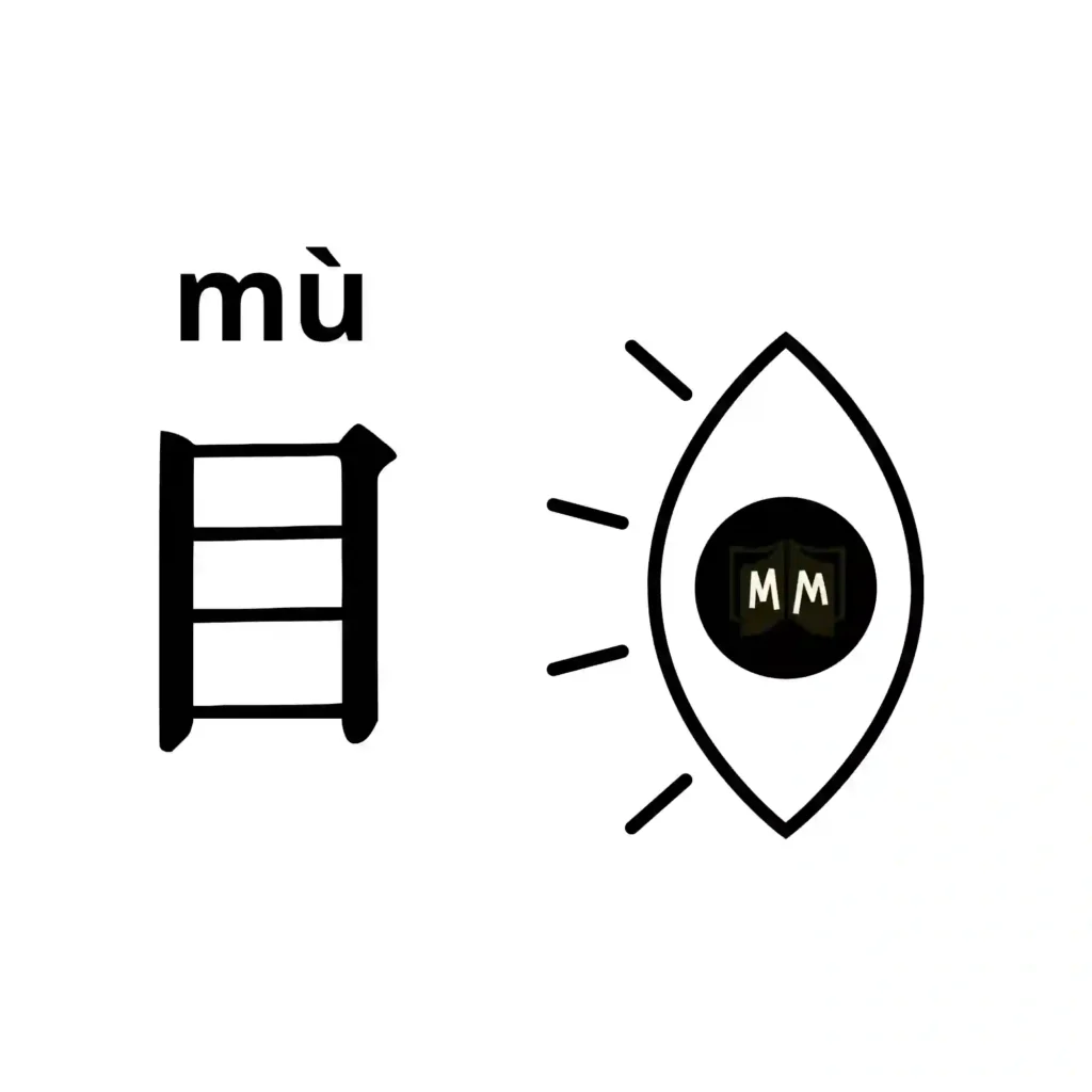 Dibujo para aprender el carácter chino de ojo 目 diseñado como un ojo humano con pestañas.