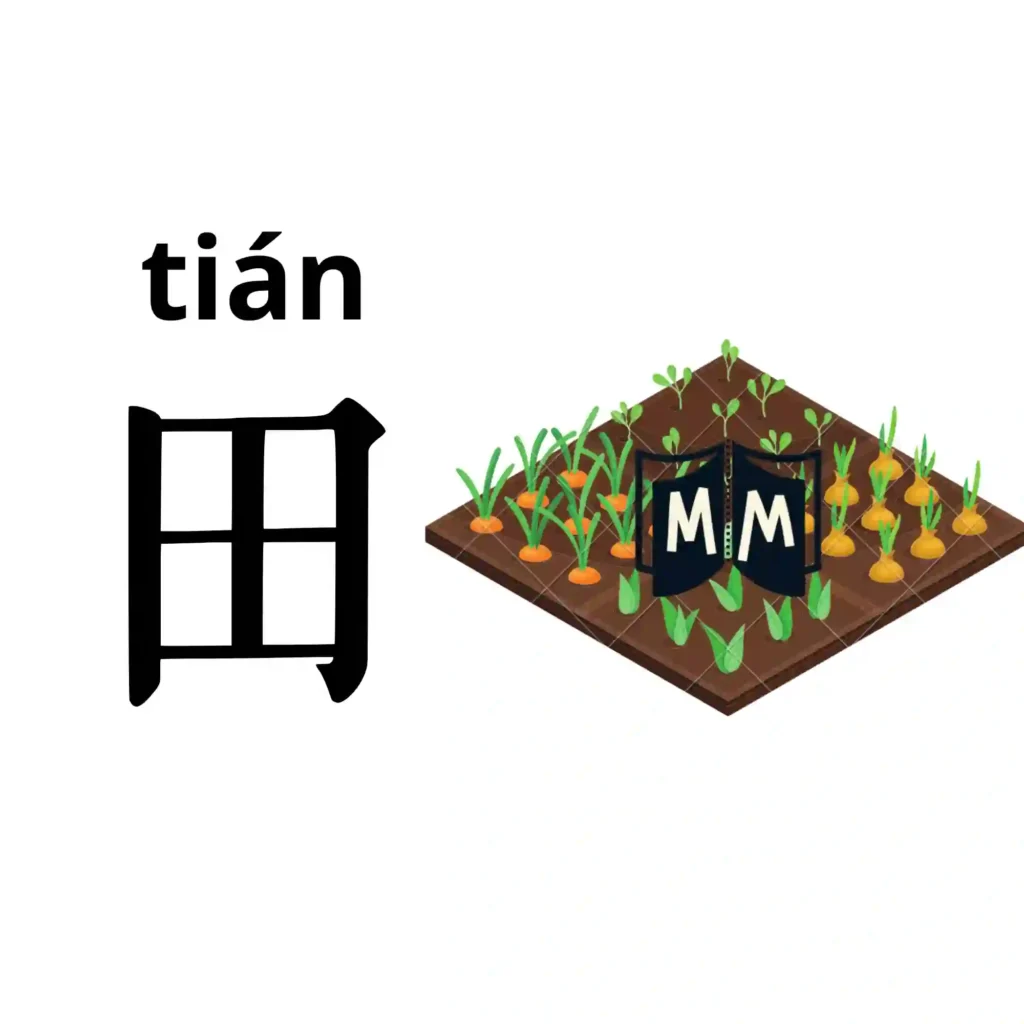 Mnemotecnia visual del carácter chino de campo de arroz 田 mostrado como parcelas de cultivo con brotes verdes.